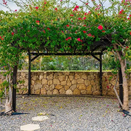 Welcoming 3-bedroom With Ocean Views Agios Georgios (Girne)